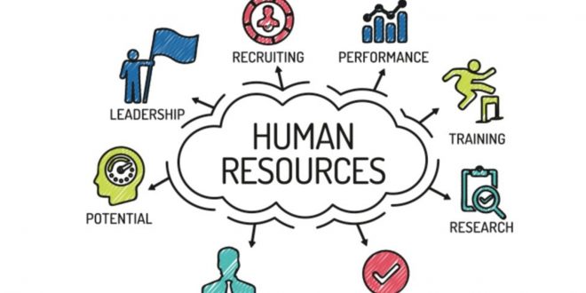 اهمیت منابع انسانی
