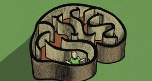 brain 310x165 - ۹ عاملی که به تصمیم گیری بد منجر می‌شوند