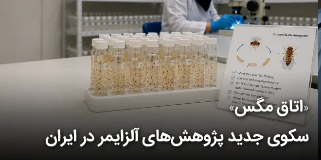 مگس 660x330 - «اتاق مگس»؛ سکوی جدید پژوهش‌های آلزایمر در ایران