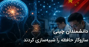 چینی سازوکار حافظه را شبیه‌سازی کردند 310x165 - دانشمندان چینی سازوکار حافظه را شبیه سازی کردند