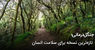درمانی؛ تازه ترین نسخه برای سلامت انسان 310x165 - جنگل‌درمانی؛ تازه‌ترین نسخه برای سلامت انسان