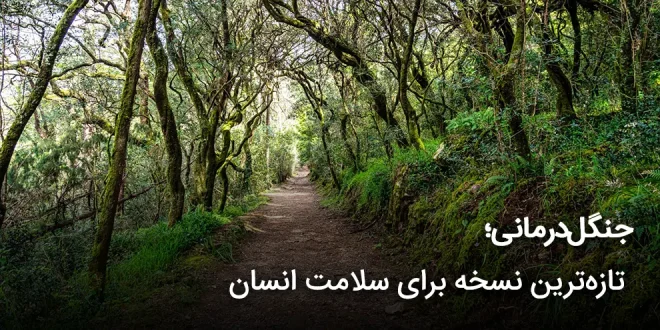 درمانی؛ تازه ترین نسخه برای سلامت انسان 660x330 - جنگل‌درمانی؛ تازه‌ترین نسخه برای سلامت انسان
